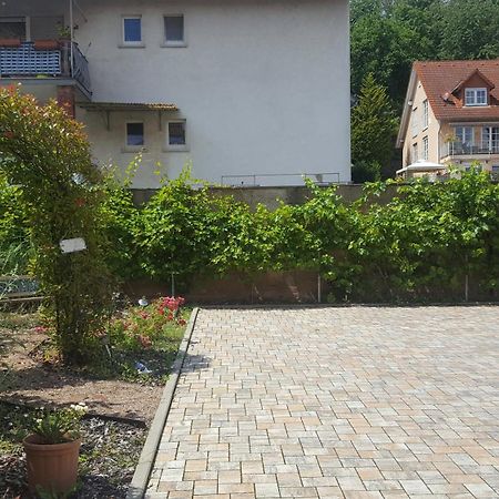 Villa Renatus Обернбург-на-Майне Экстерьер фото